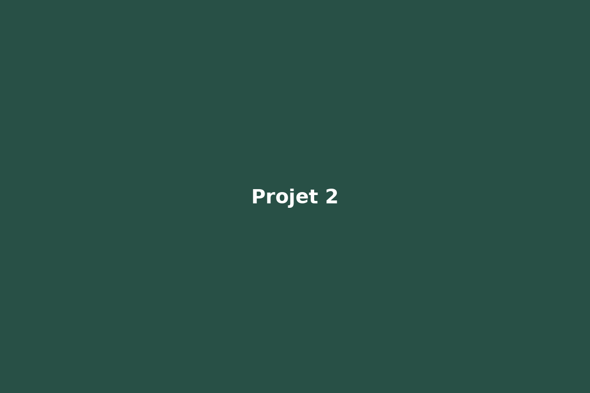 Projet 2