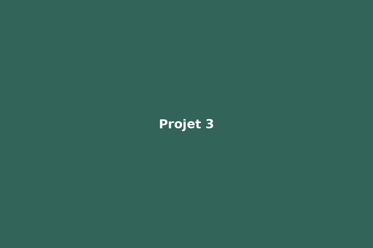 Projet 3